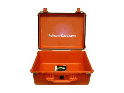 Pelican 1550 No Foam - case