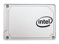 Intel Solid-State Drive DC S3110 Series - solid state drive - 256 GB - SATA 6Gb/s