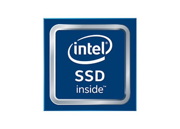 Intel Solid-State Drive E5100s Series - solid state drive - 256 GB - SATA 6Gb/s