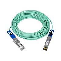 Netgear 15m Active Optical SFP+ Direct Attach Cable