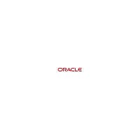 Oracle 3.5" SAS Solid State Drive Write Flash Accelerator