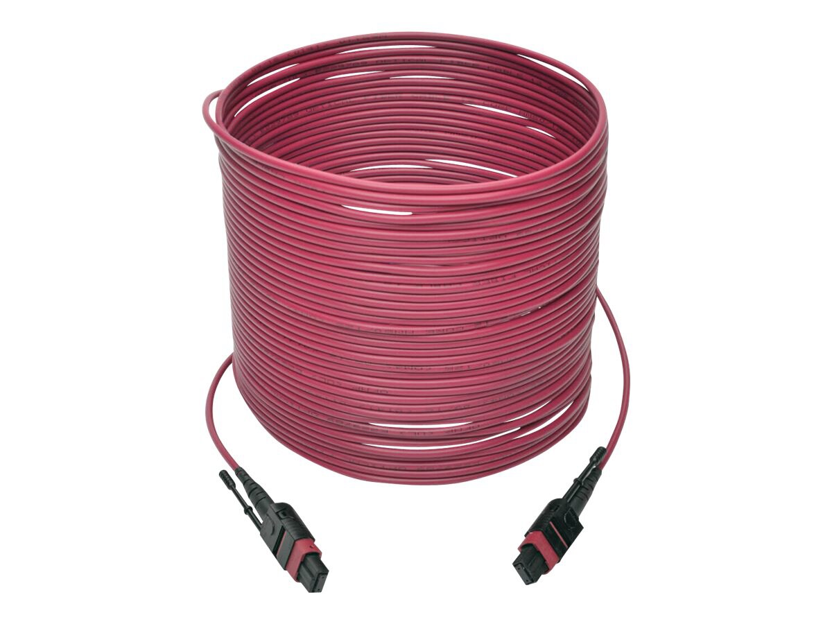 Tripp Lite 15M MTP MPO Multimode Patch Cable 12 Fiber 40/100Gb OM4 50 CMP