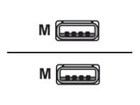 Datalogic - USB cable - USB to USB - 8 ft