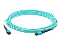 Proline 11m MPO/UPC to MPO/UPC Aqua OM4 OFNR (Riser-Rated) 12-Strand Fiber