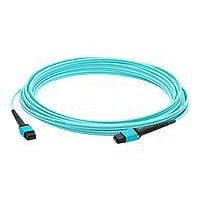 Proline 12m MPO (F)/MPO (F) 12-strand Crossover Aqua OM4 OFNR MMF Cable