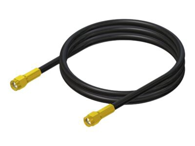 Panorama C29SP - antenna extension cable - 10 ft - black