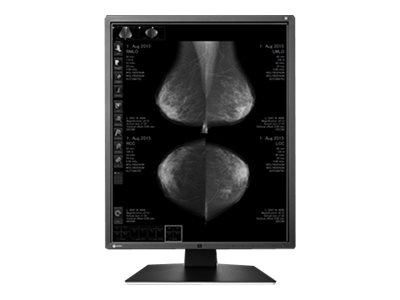 EIZO RadiForce GX550-BK - LED monitor - 5MP - grayscale - 21.3"