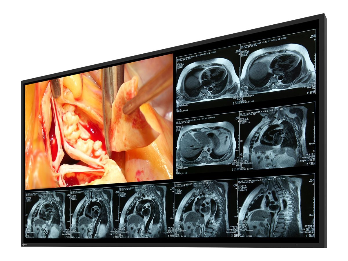 EIZO CuratOR LX490W-BK - LED monitor - Full HD (1080p) - 2MP - color - 48.5"