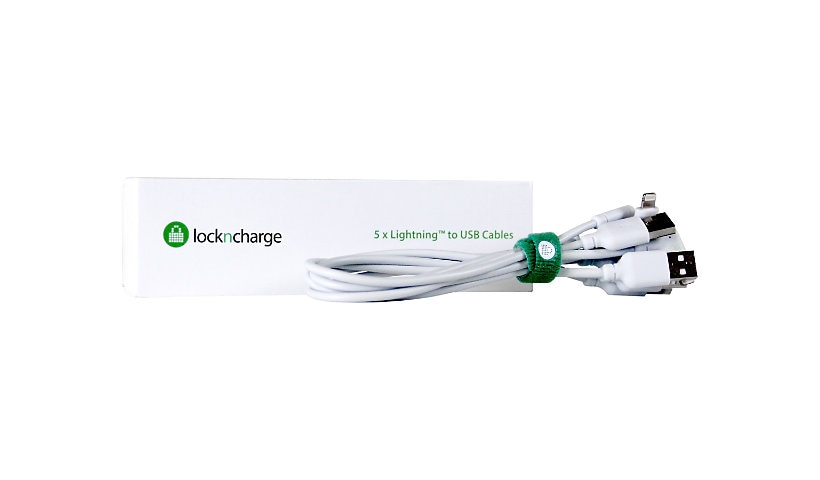 LocknCharge Lightning cable - Lightning / USB - 1 ft