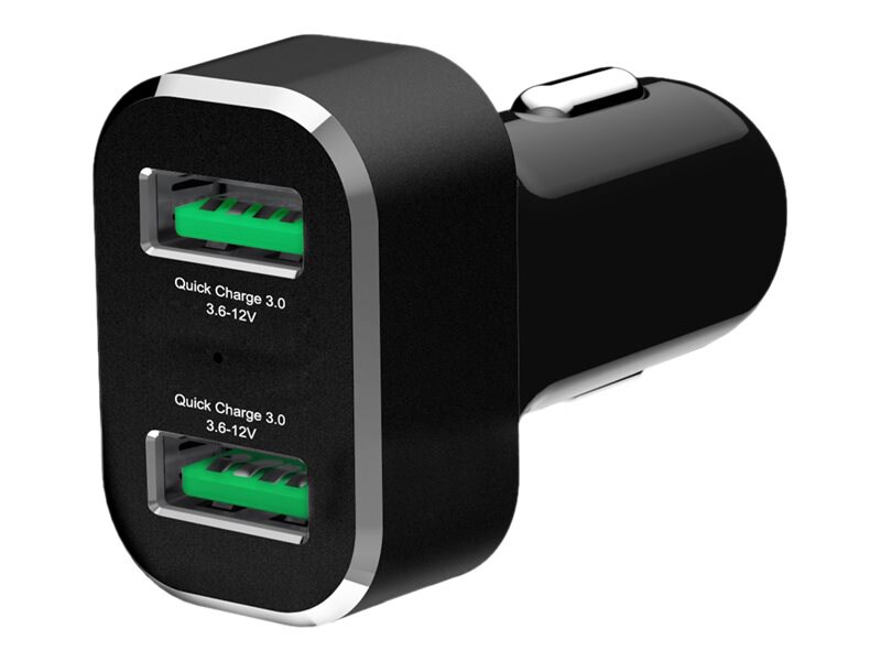 RAM GDS car power adapter - 2 x USB - 36 Watt