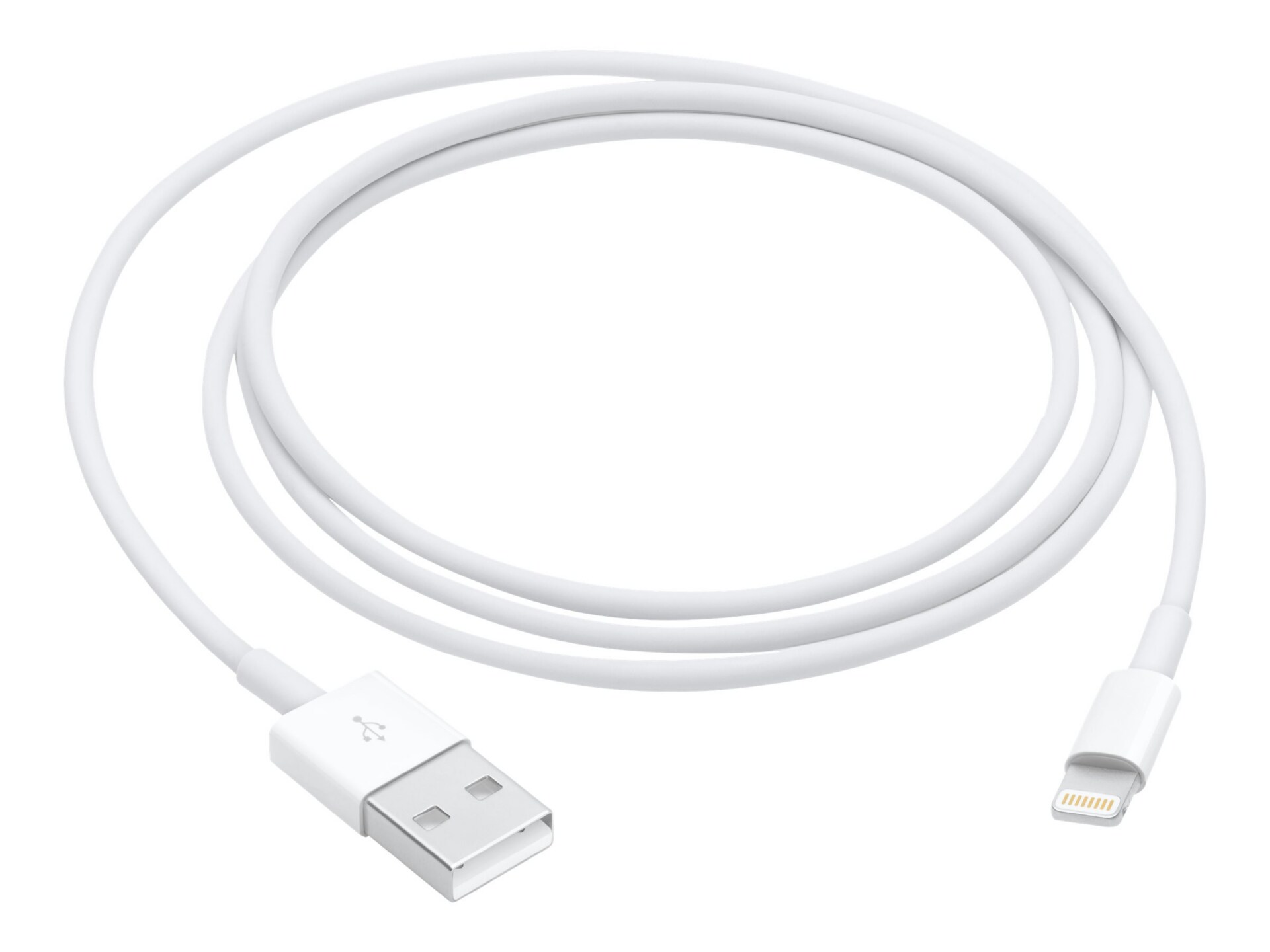 Apple Lightning cable - Lightning / USB 2.0 - 3.3 ft