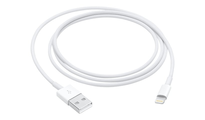 Apple Lightning cable - Lightning / USB 2.0 - 3.3 ft