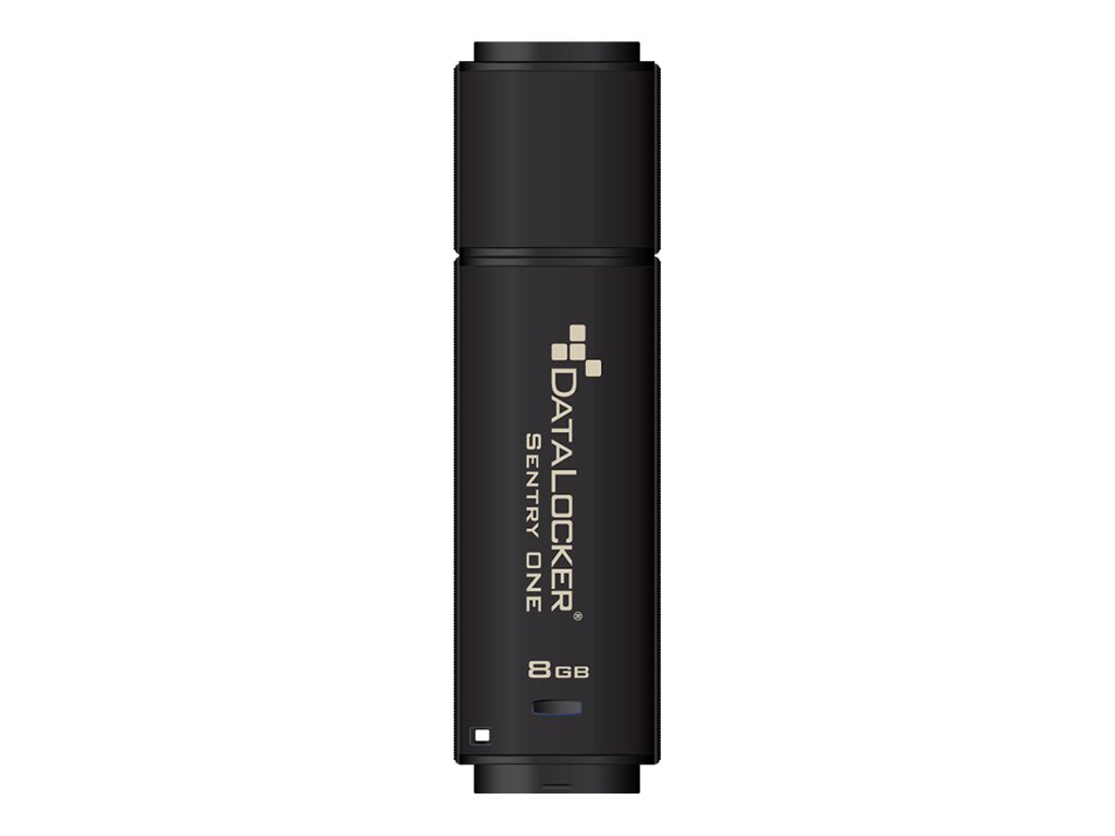 DataLocker Sentry ONE Encrypted Flash Drive