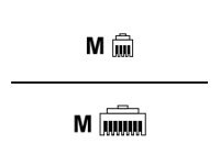 Ingenico 2m Ethernet Cable with Over-Molding for iCT220 Smart Card Reader