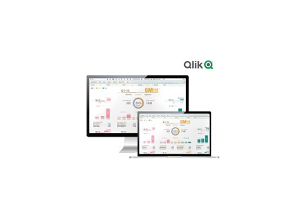 QLIK QLIKVIEW BASIC MNT