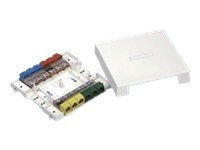 Panduit Surface Mount Box