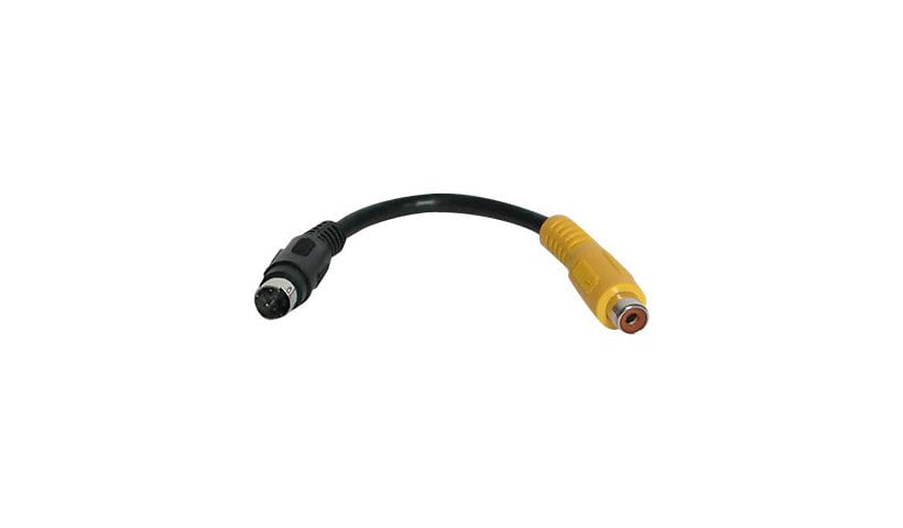 StarTech.com S-Video to Composite Video Adapter Cable