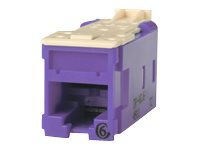Ortronics Clarity Category 6 T568A/B High Density Jack - Purple