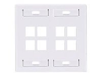 Leviton QuickPort Dual-Gang With Designation ID Windows - mounting plate