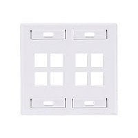 Leviton QuickPort Dual-Gang With Designation ID Windows - mounting plate