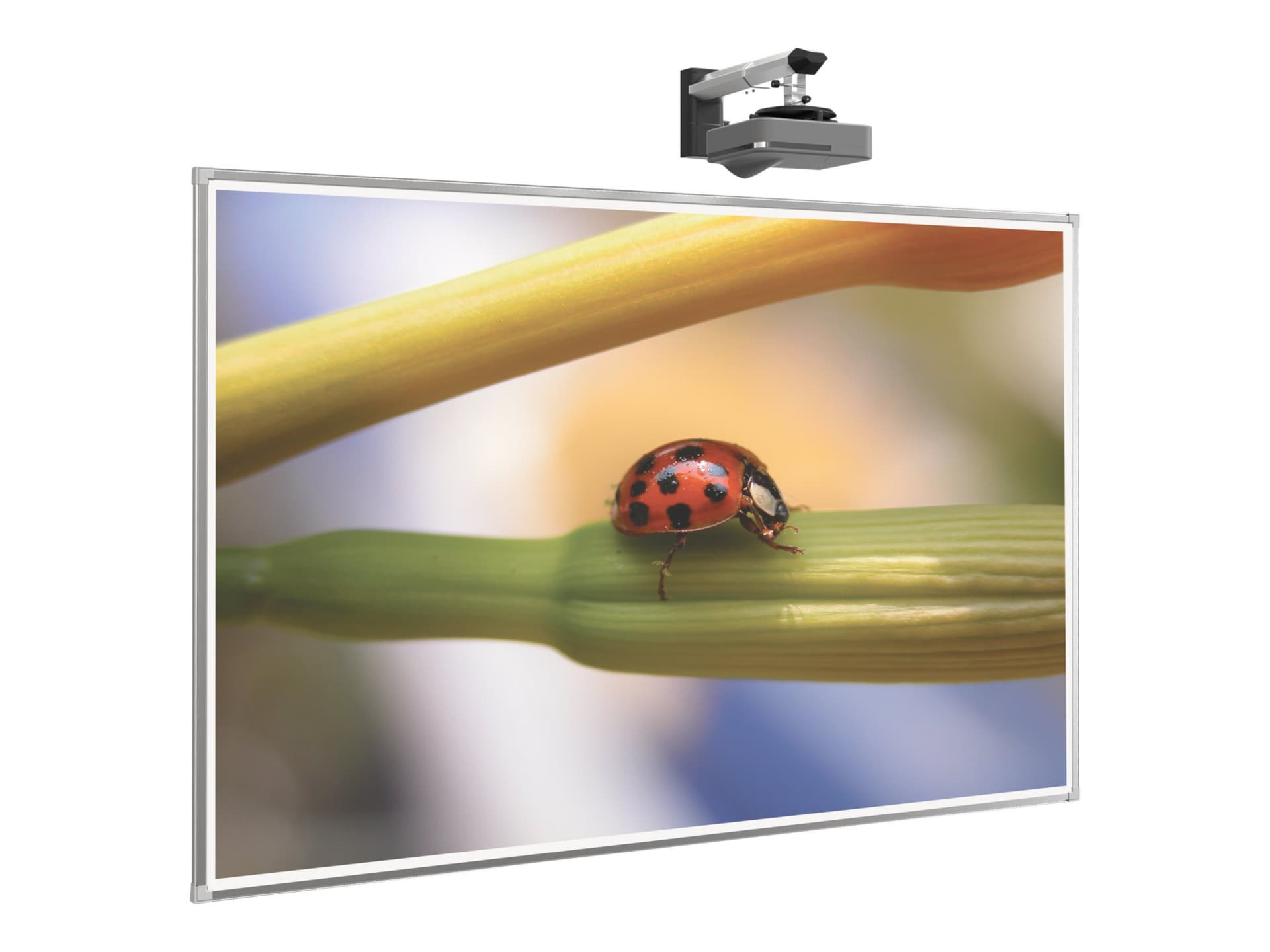 MooreCo Interactive Projector Board with Brio Trim - projection screen - 132.6" (132.7 in)