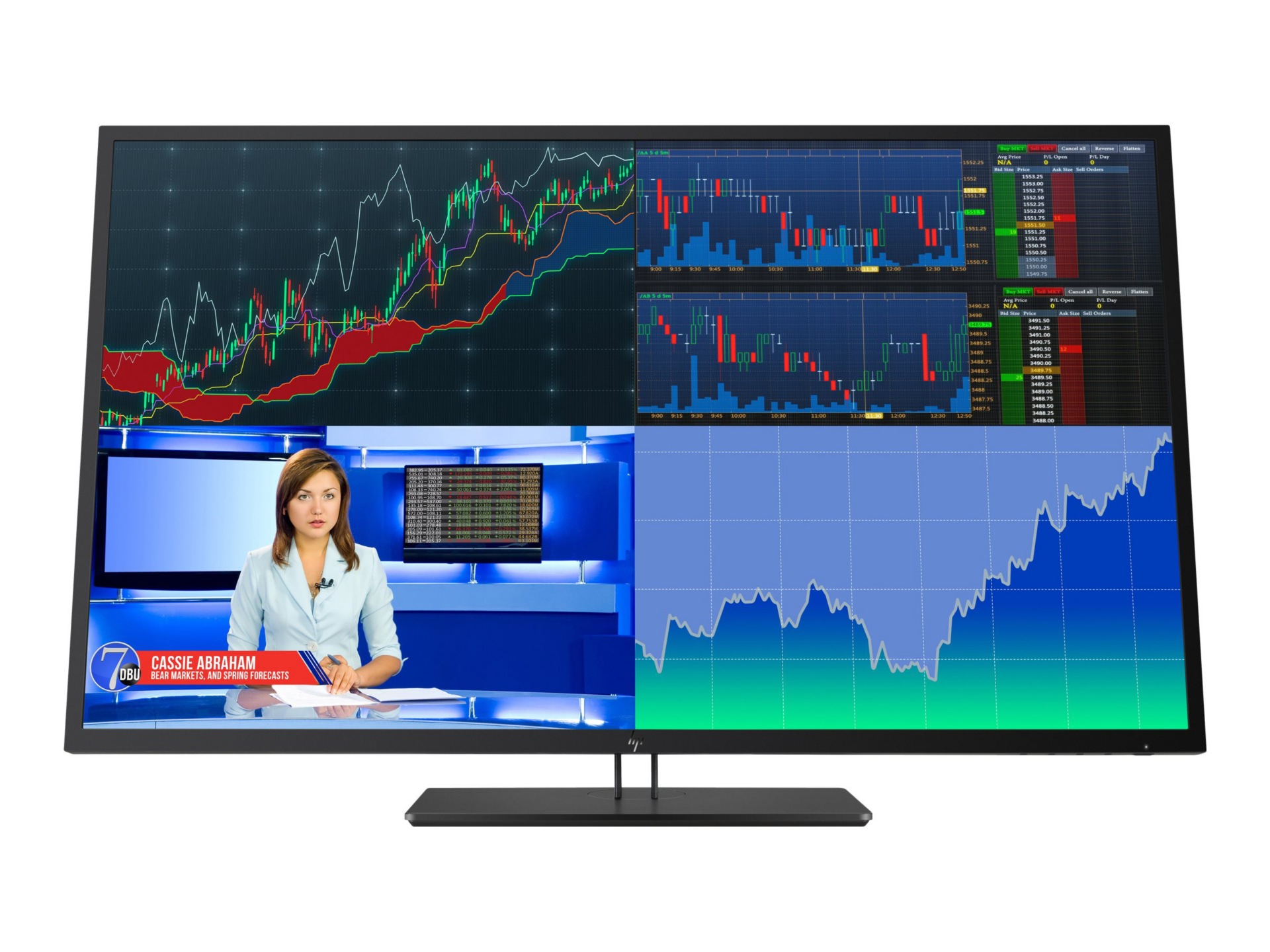 Main image 1 for HP Z43 - LED monitor - 4K - 42.5"