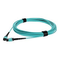 Proline crossover cable - 2 m - aqua