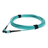 Proline crossover cable - 6 m - aqua