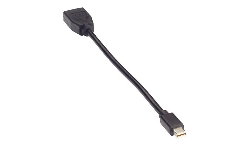 Black Box Video Adapter Dongle - DisplayPort adapter - 20.3 cm