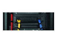 Eaton Cable Pass-Thru Blanking Panel with Brushstrip 1U