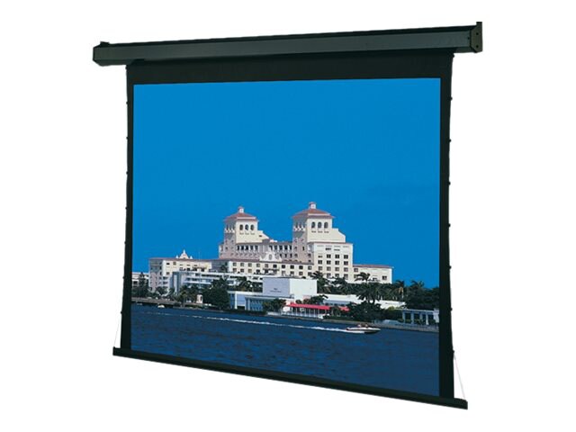 Draper Premier projection screen - 123" (122.8 in)