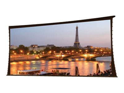 Draper Paragon V 270" Electric Motorized Projector Screen - Matte White