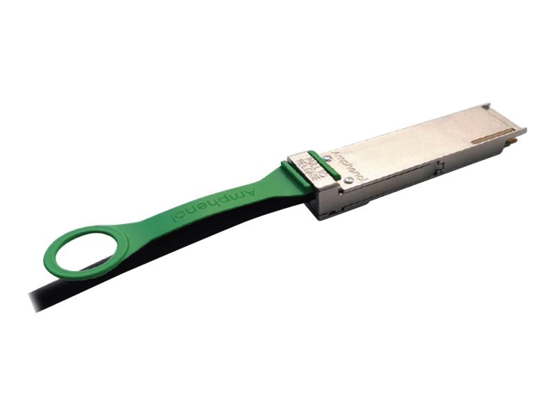 Amphenol ICC 100GBase direct attach cable - 1.6 ft