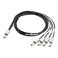 Axiom SAS external cable - 4 m