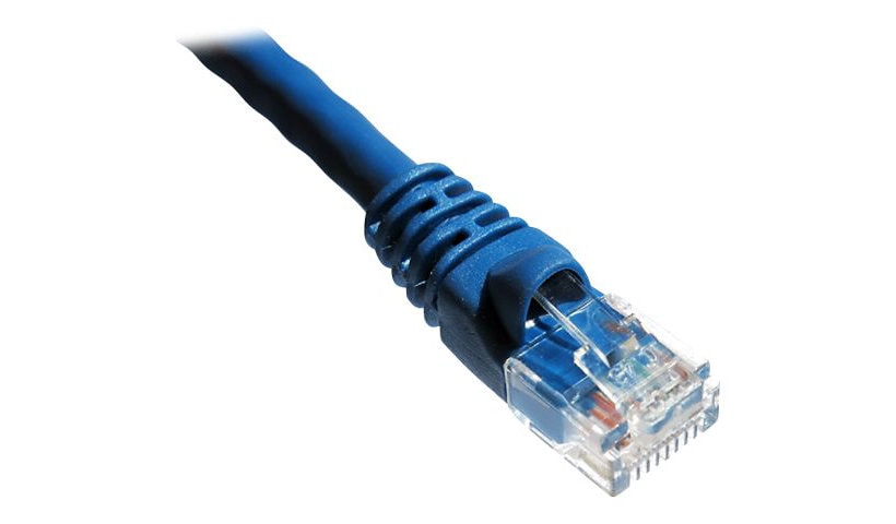Axiom patch cable - 6.1 m - blue