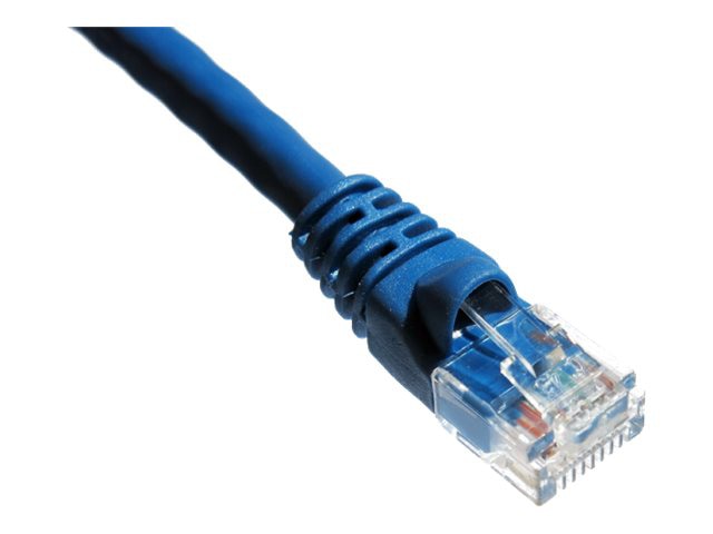 Axiom patch cable - 22.9 m - blue