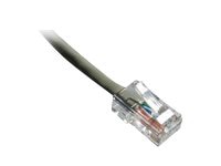Axiom patch cable - 61 cm - gray