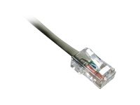 Axiom patch cable - 22.9 m - gray