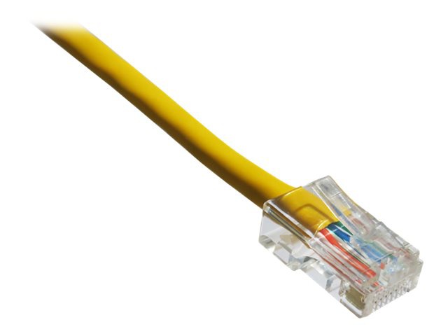 Axiom patch cable - 30.5 m - yellow