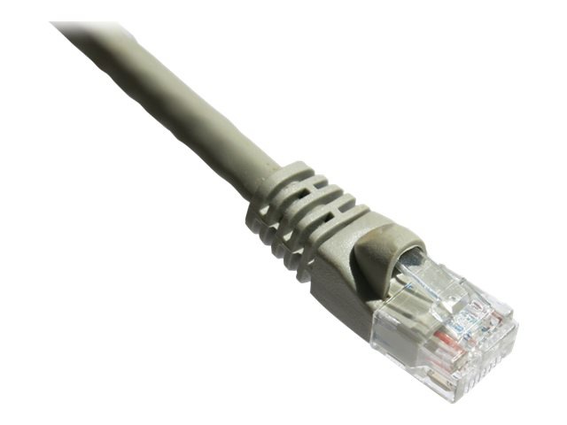 Axiom patch cable - 30.5 m - gray
