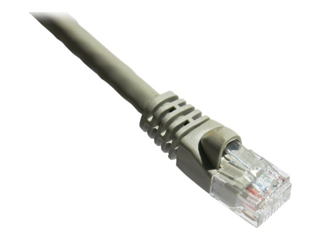 Axiom patch cable - 30.5 cm - gray