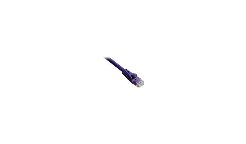Axiom patch cable - 6.1 m - purple