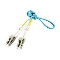 Axiom BENDnFLEX Silver - patch cable - TAA Compliant - 30 m