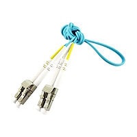 Axiom BENDnFLEX Silver - patch cable - TAA Compliant - 6 m