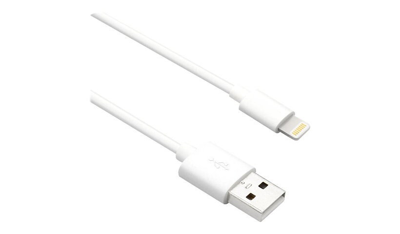 Axiom câble Lightning - Lightning / USB 2.0 - 1.83 m