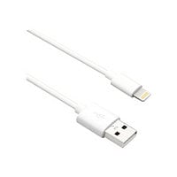 Axiom Lightning cable - Lightning / USB 2.0 - 1.83 m