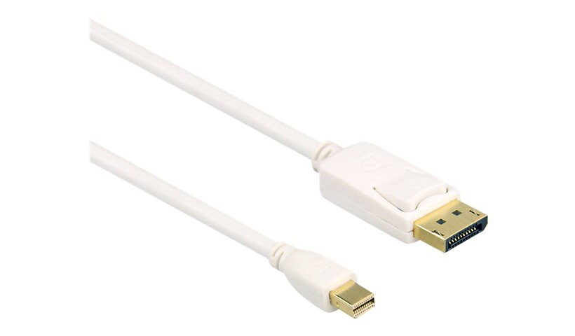 Axiom - DisplayPort cable - Mini DisplayPort to DisplayPort - 1.83 m