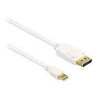 Axiom DisplayPort cable - 3.05 m