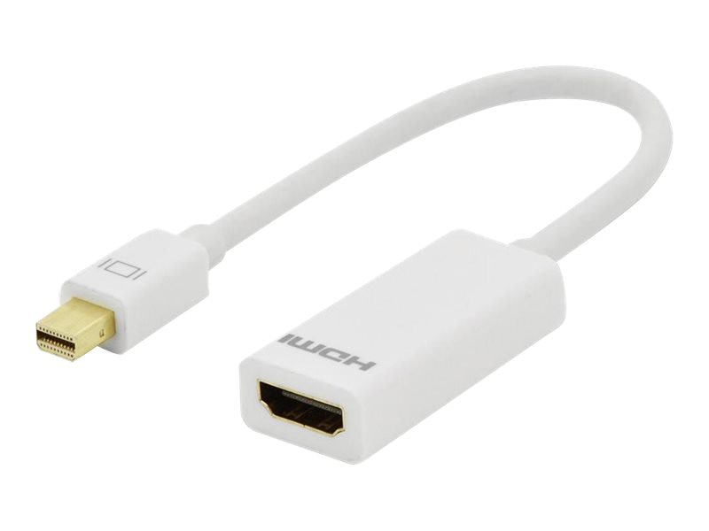 Axiom adapter - DisplayPort / HDMI - 9.53 cm