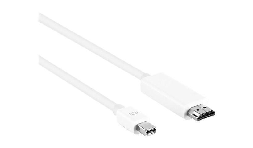 Axiom adapter cable - DisplayPort / HDMI - 91.4 cm